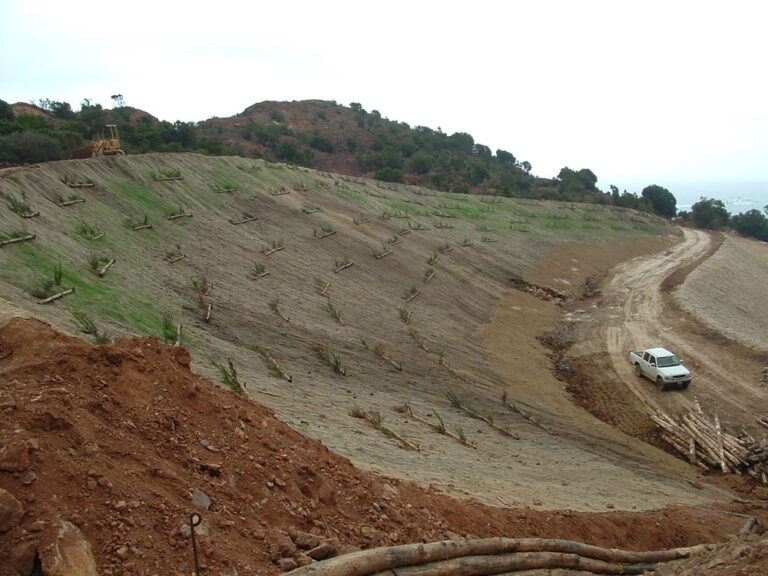 Territorio-07
